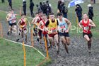 Senior boys 2019 New Balance English Schools Cross Country Champs, Temple Newsam, Leeds. Photo:  David T. Hewitson/Sports for All Pics